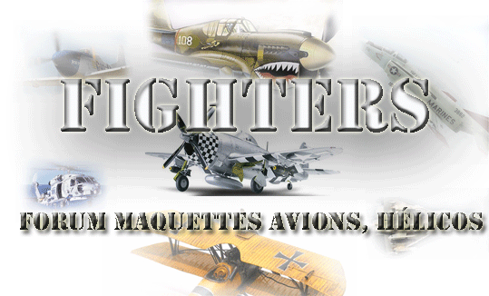 FIGHTERS