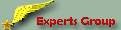 Experts Group Experts Group